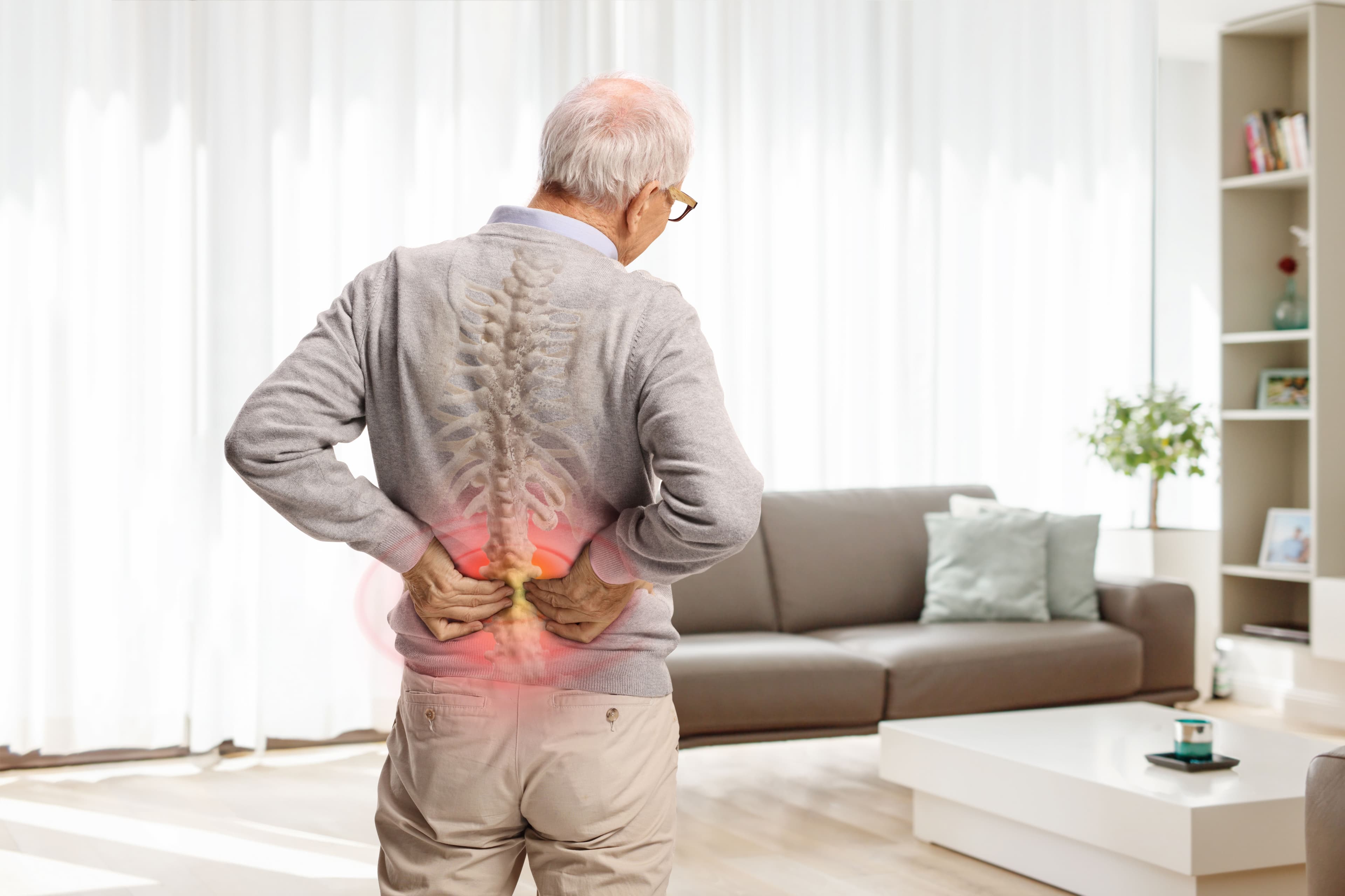 

What are the different types of back pain? How does pain work?  

