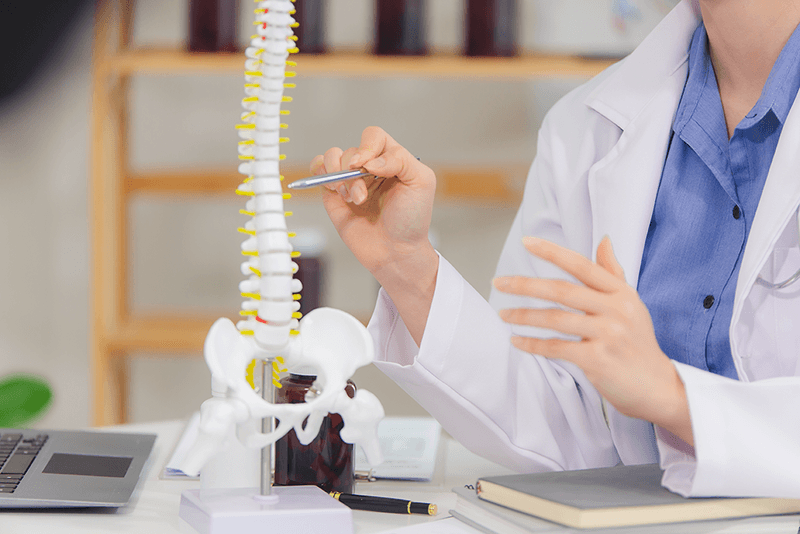 

Understanding the importance of the spine 

