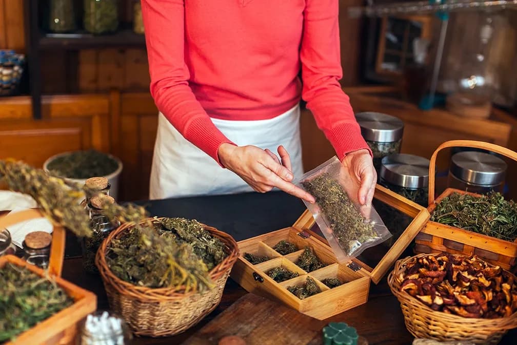 Phytothérapie et arthrose : les plantes qui soutiennent vos articulations