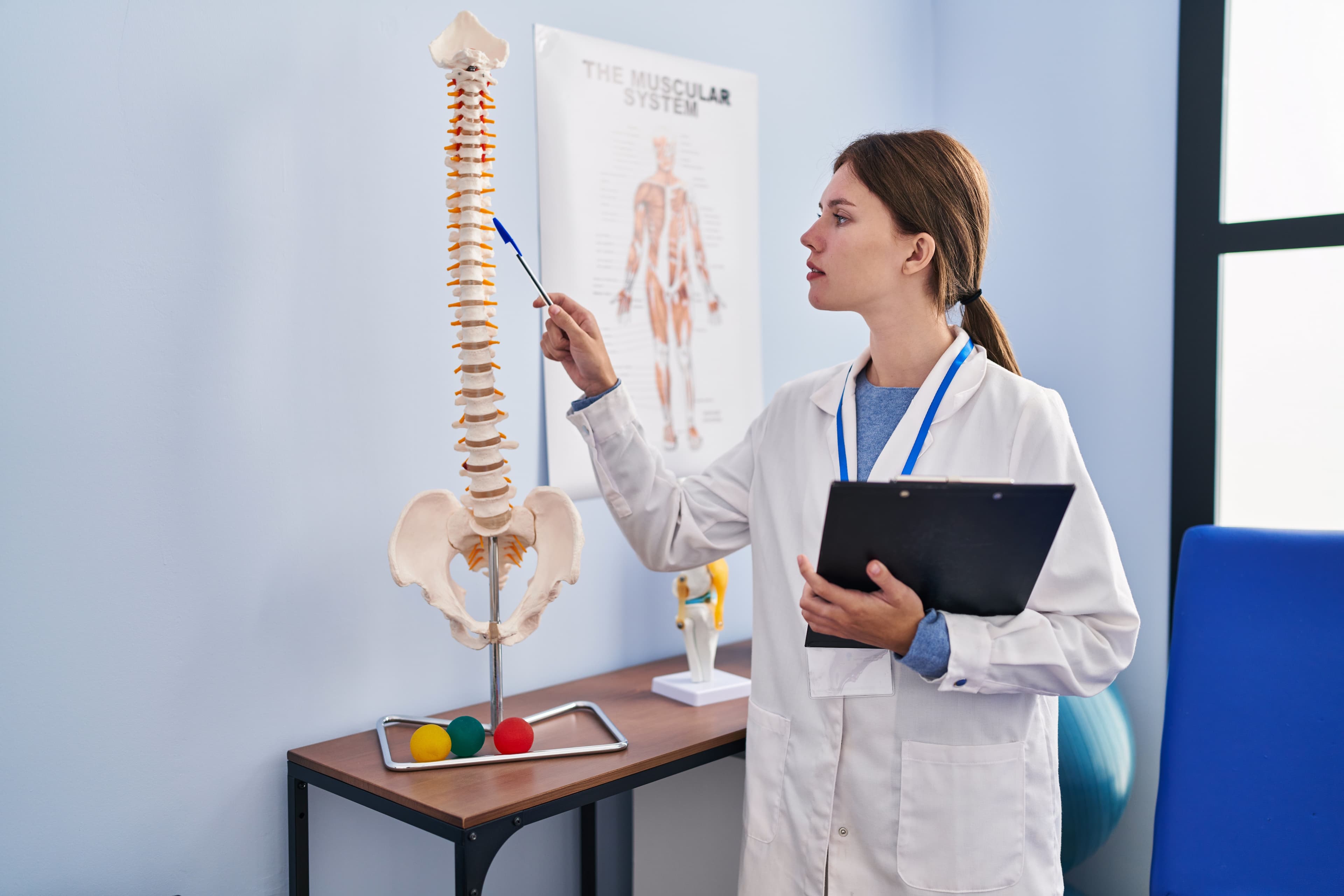 The spinal column: definition and role
