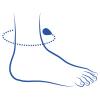 Ankle circumference