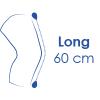 Height 60 cm (long)