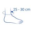 Ankle size 25cm - 30cm